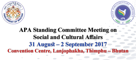  APA Standing Committee Meeting on Social and Cultural Affairs